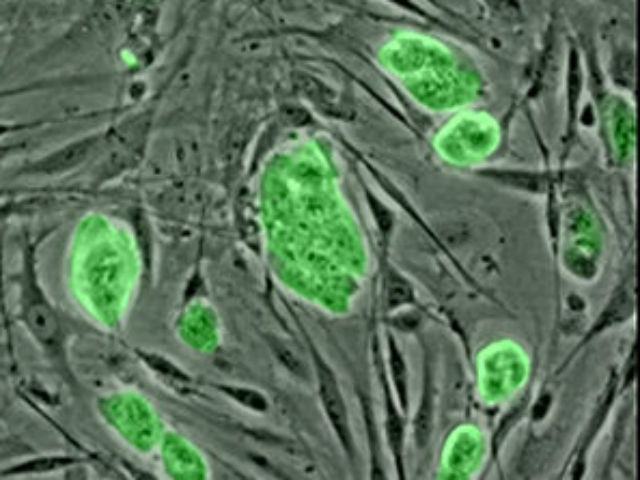 9cd76729681b11e87c30e2ea900a4856