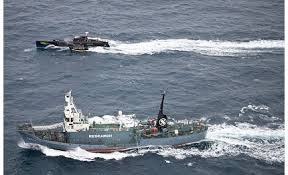 9d3b8e36d7cf0d94a73cf50ec7e813d5