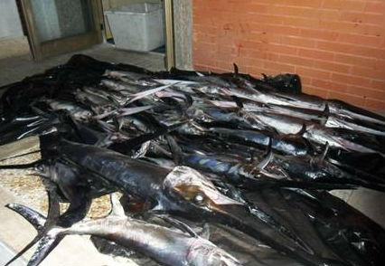 9d5a45e5db7b57bf3408002bc56bd959