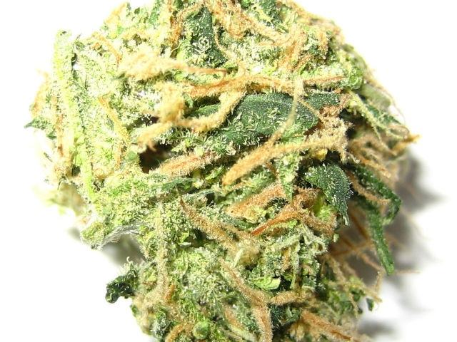 9e7fc301c24011e6d40ec6dd798bf290