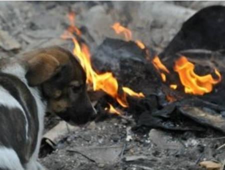 9e8f81858b8912cb608f918712732b72