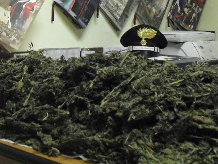 9f23f66d17aed606b4f8fc8101fe25a6