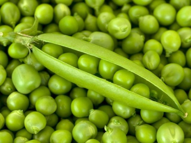 9f7cad5da799c040d4d47293105e1659