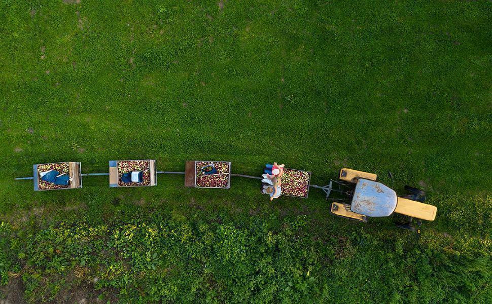 AGRIcoltura100 immagine marzo 2022