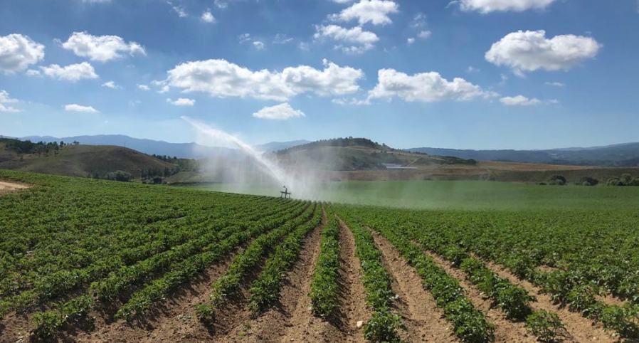 Emergenza acqua, Cufari lancia allarme: "oltre alla battaglia rifiuti a breve crisi idrica disastrosa" 53 Acqua 1 6