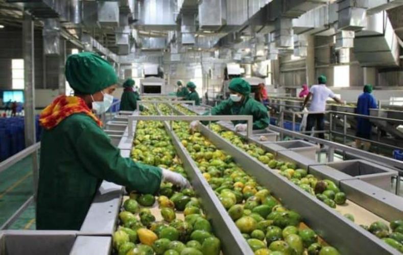 Settore agroalimentare, in arrivo altri 8 milioni ad oltre mille beneficiari 51 Agroalimentare