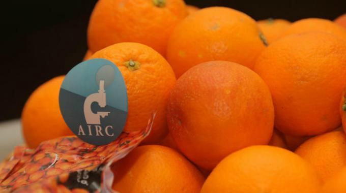 Airc clementine