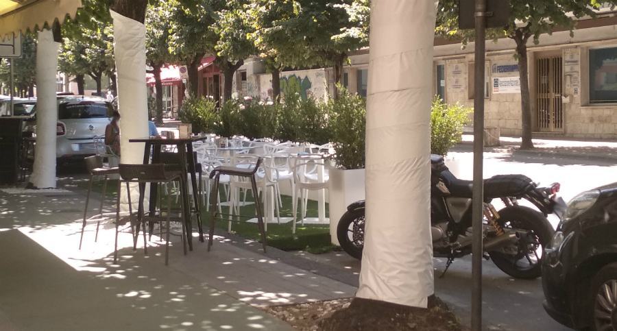 Alberi di via Alimena fasciati nella plastica