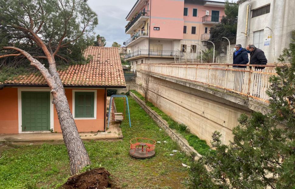 Albero Caduto1