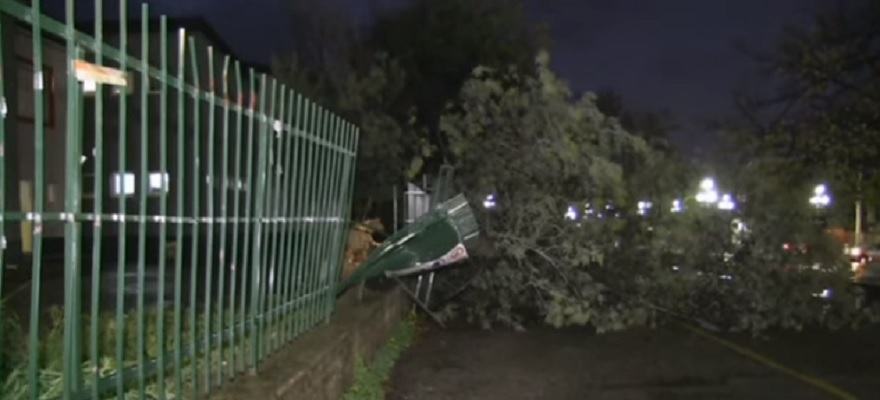 Albero caduto S.Agostino