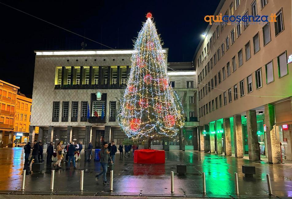 Albero natale Cosenza 1