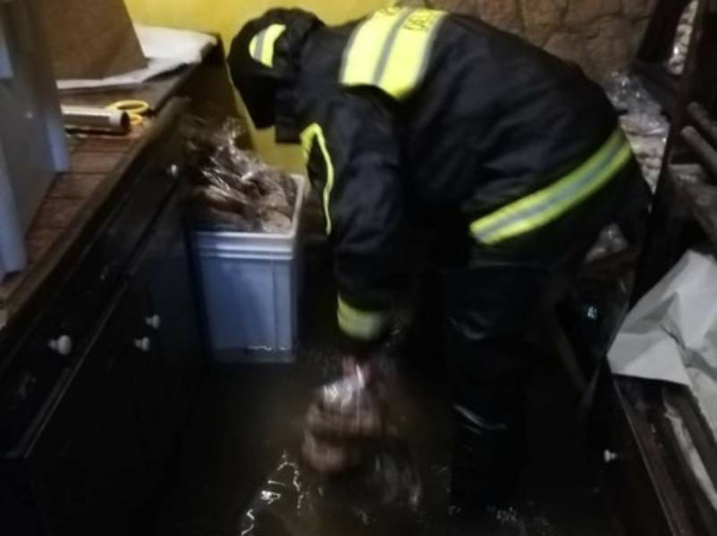 Nubifragio nel Cosentino, disagi e danni nell'area del Pollino 51 Allagamento panificio