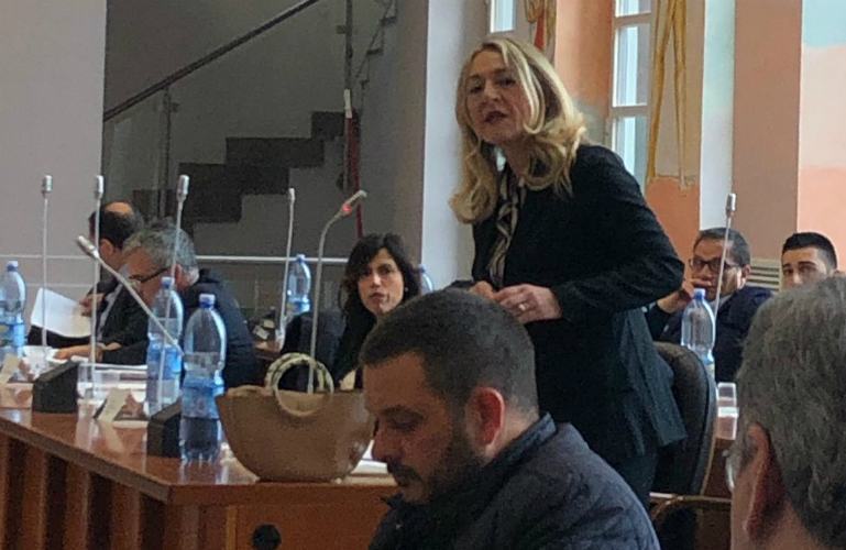 Commercio Cosenza: Commissione incontra Confesercenti, Confartigianato e Confagricoltori 51 Annalisa Apicella