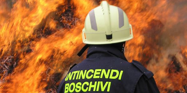 Calano le temperature e aumentano gli incendi, sospetto business della 'mafia dei boschi' 51 Antincendio boschivo 1