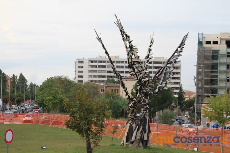 Aquile di Baccelli Viale parco Cosenza