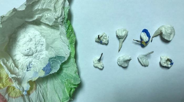 Arresto Carabinieri Montalto Uffugo Dosi Cocaina