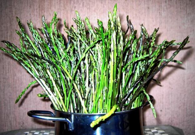 Asparagi 2