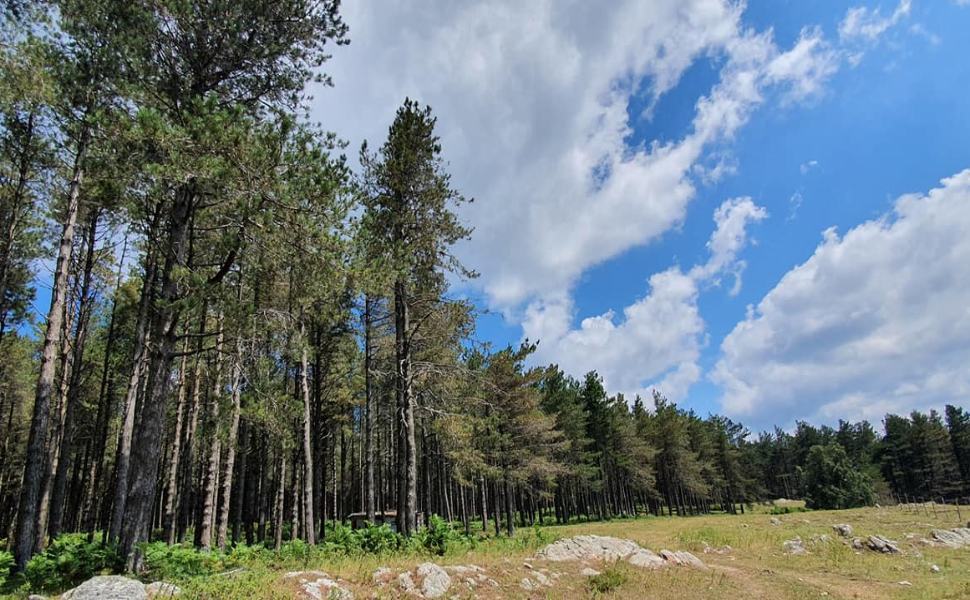 La Calabria celebra la Settimana del Pianeta Terra 51 Aspromonte Zervo 01