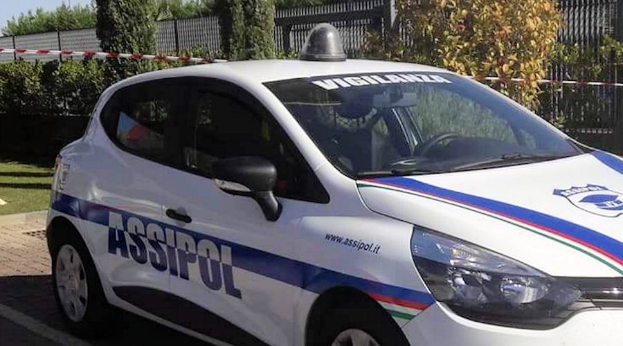 Assipol 10