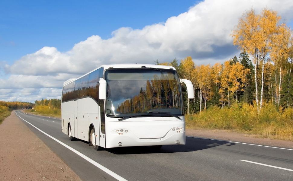 Auobus