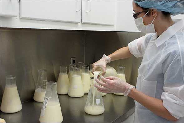 Banca del latte materno