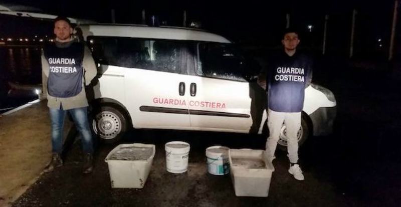 Bianchetto sequestrato