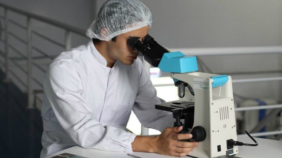 Calabria, in via di pubblicazione un bando rivolto ad enti di ricerca e Università 51 Biologo 1