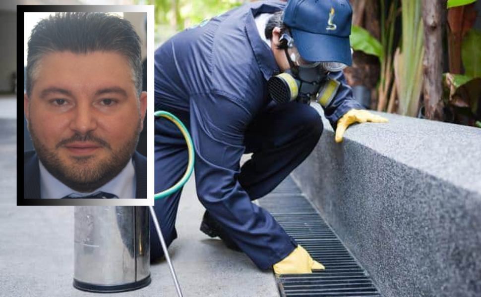 Cosenza, Sconosciuto: "città invasa da topi, blatte e zanzare. Derattizzare e disinfestare" 51 Blatte topi zanzare derattizzazione sconosciuto
