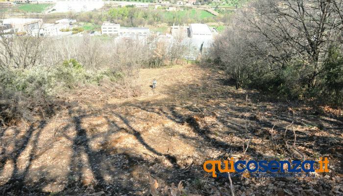Dissequestrata area nel Comune di Rende di proprietà di una società immobiliare 51 Bosco1 700x400 1