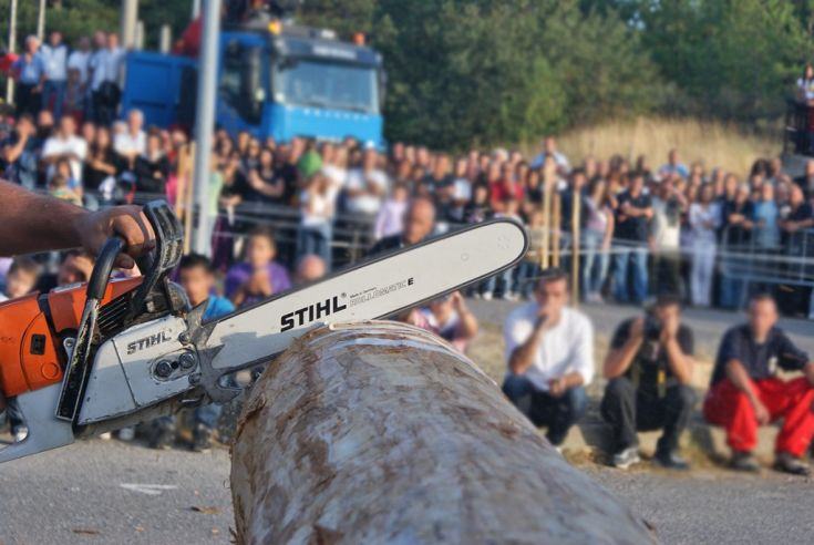 (GUARDA LE FOTO) Boscovivo 2015: grande successo in Sila per la manifestazione dedicata al bosco 248 BoscoVivo101