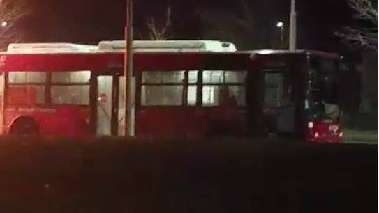 Circolare veloce notturna, nel 2011 Occhiuto "snobbò la proposta" 51 Bus amaco notte 1