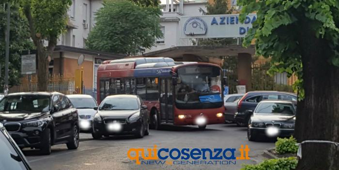 Bus