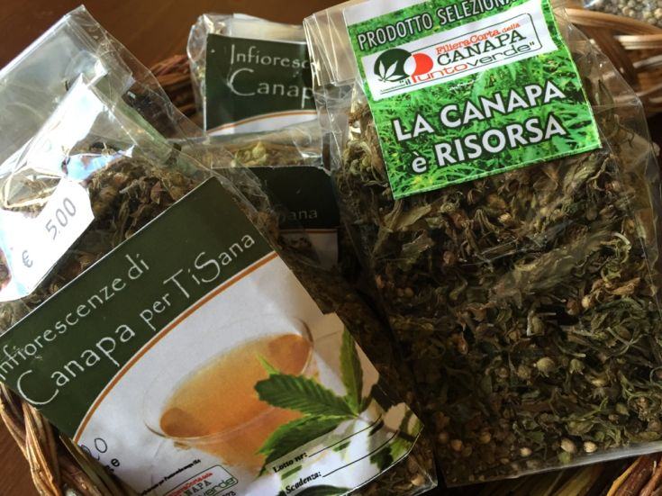 CANAPA CANNA 031215 4