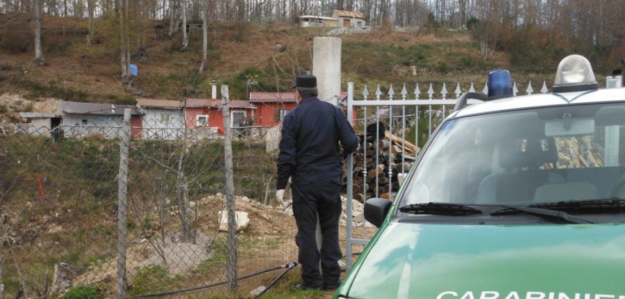 Bosco comunale distrutto e "colonizzato" con costruzioni abusive: 7 denunce 51 CC RC 2