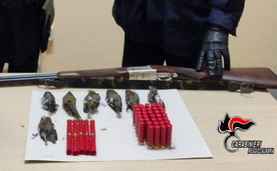 CCinquefrondi sequestro armi selvaggina
