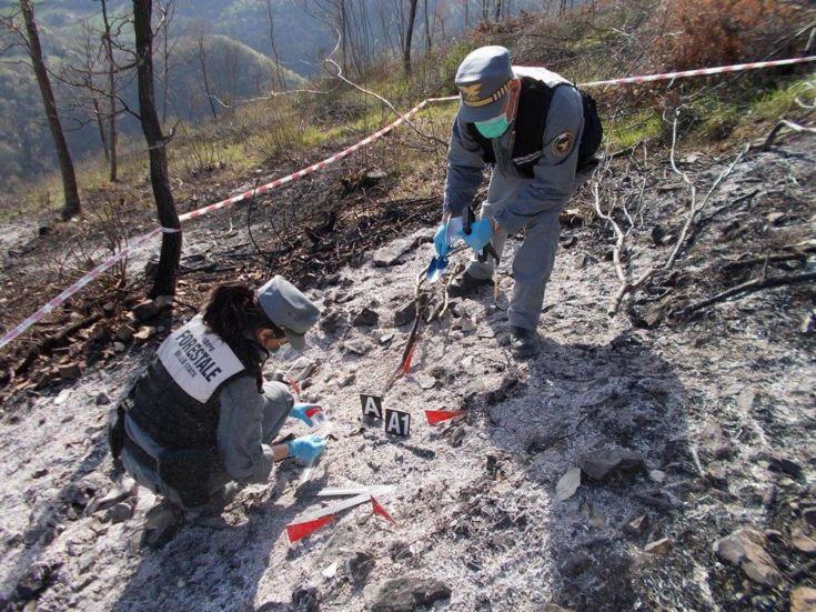 CFS forestale incendio