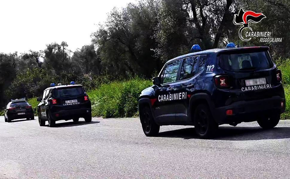 Controlli nelle aziende agricole, elevate sanzioni per 14mila euro 51 CONTROLLI DEI CARABINIERI ALLE AZIENDE AGRICOLE NEL TERRITORIO DELLA PIANA ELEVATE SANZIONI FINO A 14.000 EURO