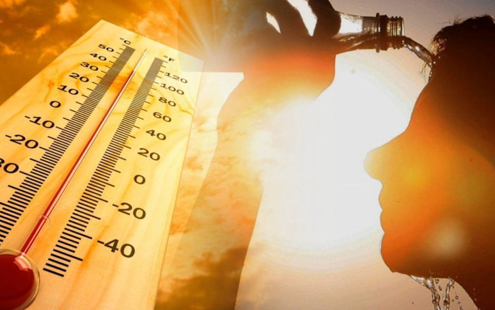 Calabria nella "fornace" africana, nel cosentino 42 gradi. E continuerà a fare caldo 51 Caldo estremo 1 1