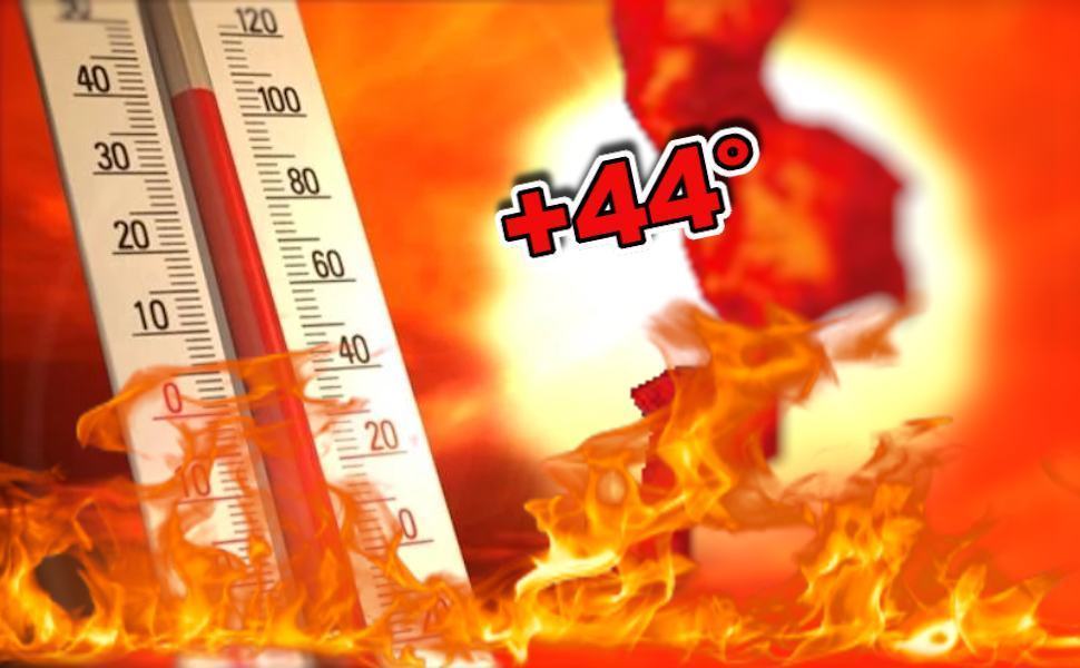 Caldo incendi Calabria ok