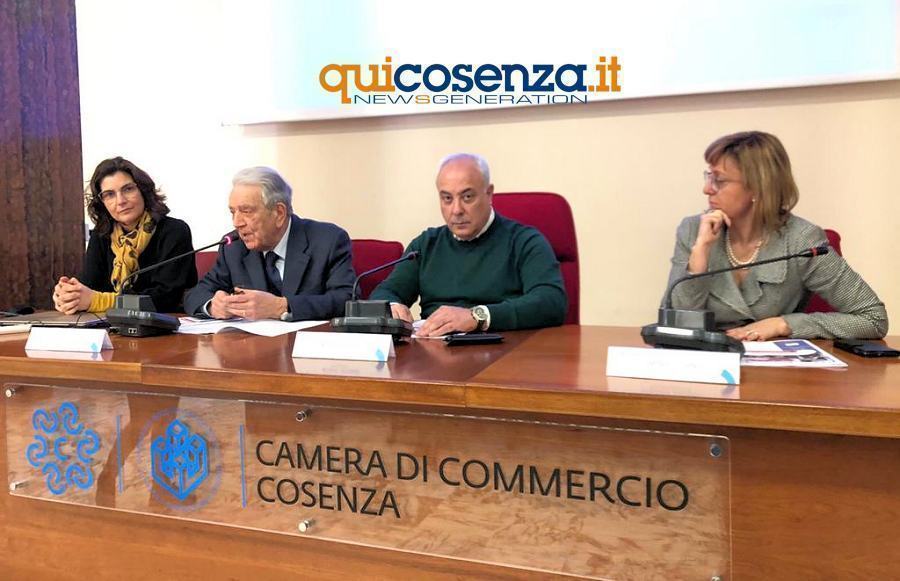 Camera Commercio CS Algieri1