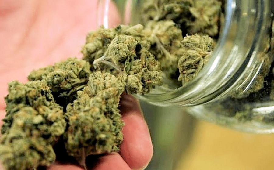 Cannabis legale