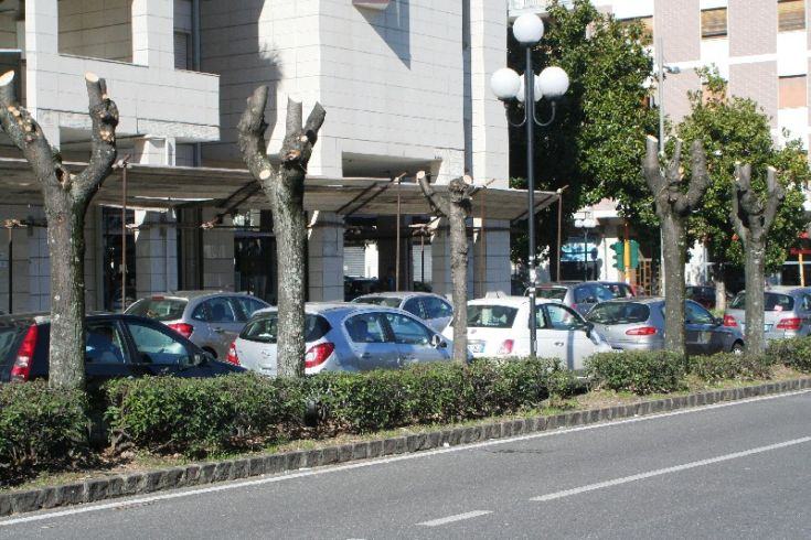 Capitozzatura