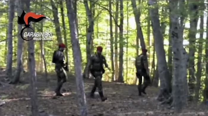 Carabinieri aspromonte