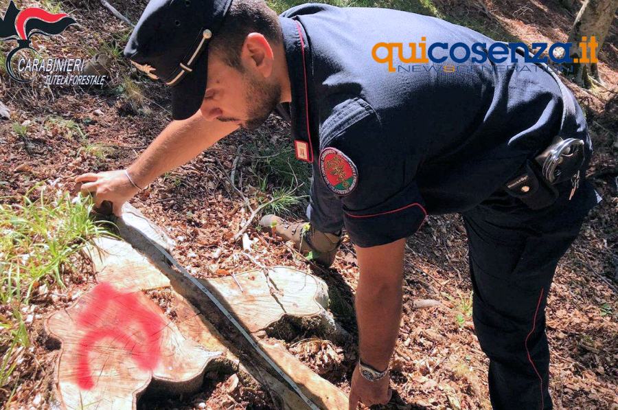 Carabinieri Forestali Rota greca