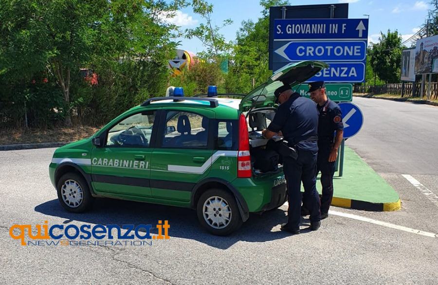 Carabinieri Forestali San Giovannoi in fiore