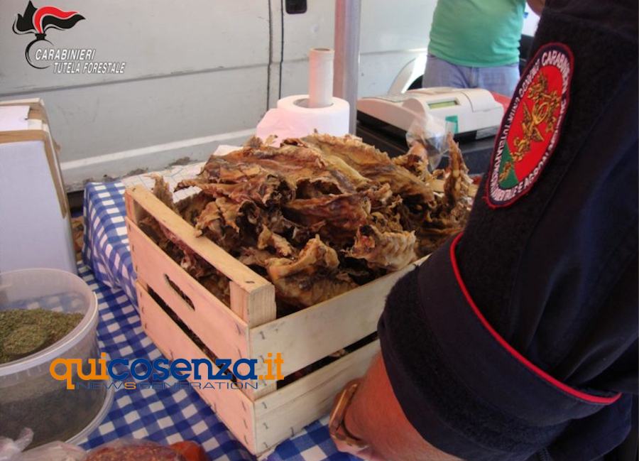 Carabinieri Forestali mercato sequetro