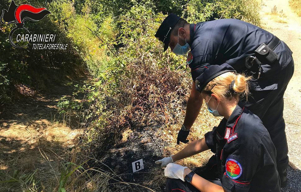 Carabinieri Forestale, il bilancio di un anno di attività per la tutela dell'ambiente 2 Carabinieri Forestali05