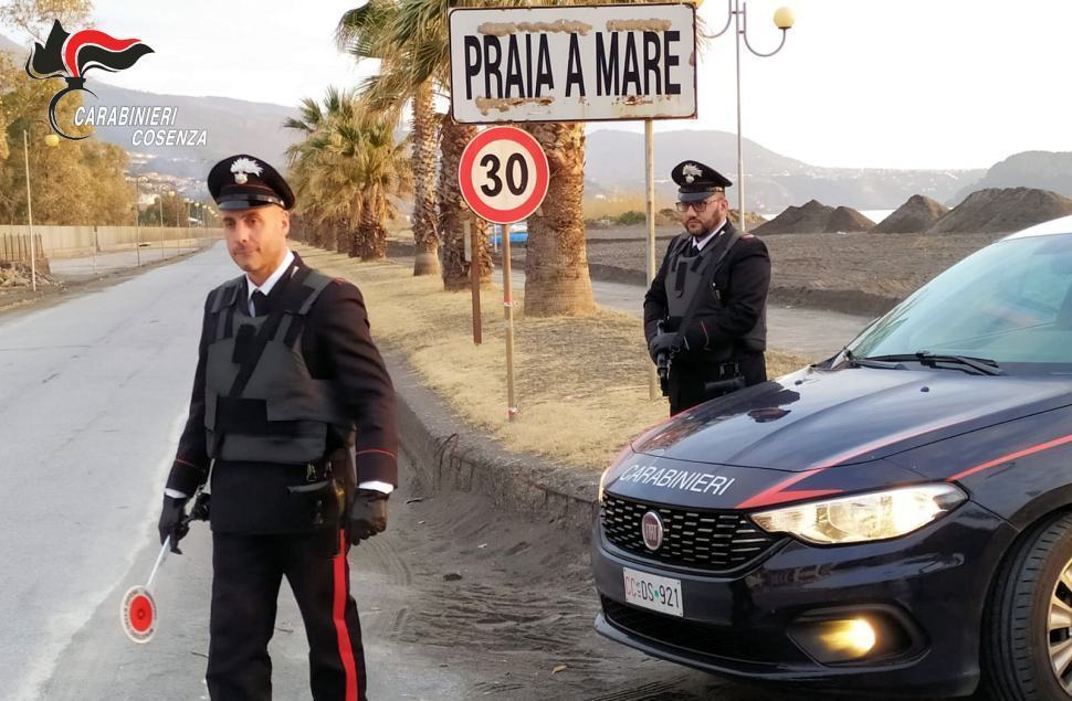 Praia a Mare, nel suo terreno 38 piante di marijuana alte un metro. Arrestato 65 Carabinieri Praia a Mare 3
