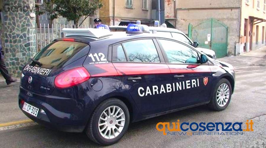 Forza l'ingresso di una salumeria per rubare una cassa di birra, denunciato 51 Carabinieri auto 26