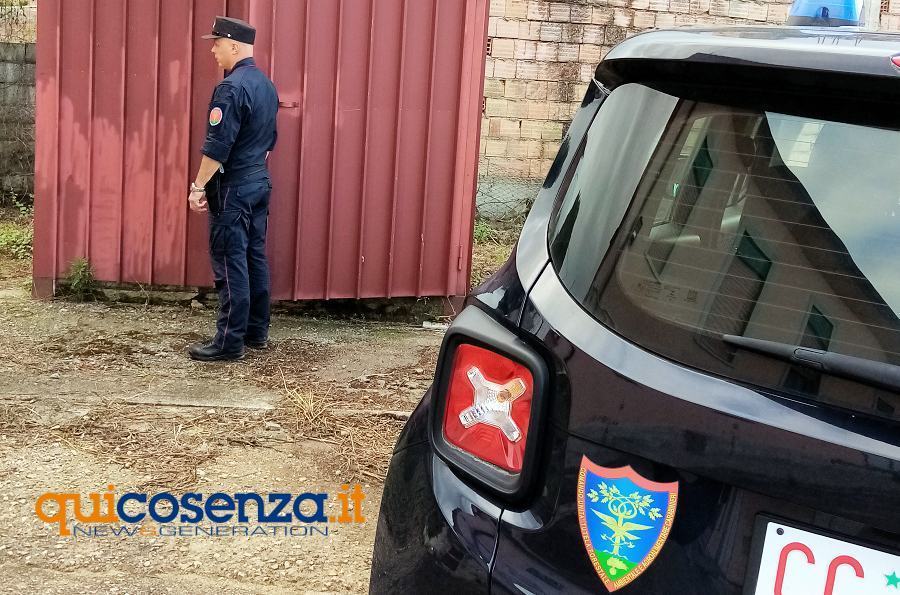 Carabinieri cardellini